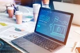 Professional CMS Development Company