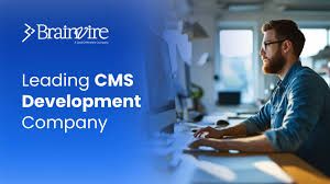 Reliable CMS Development Company for Scalable Solutions